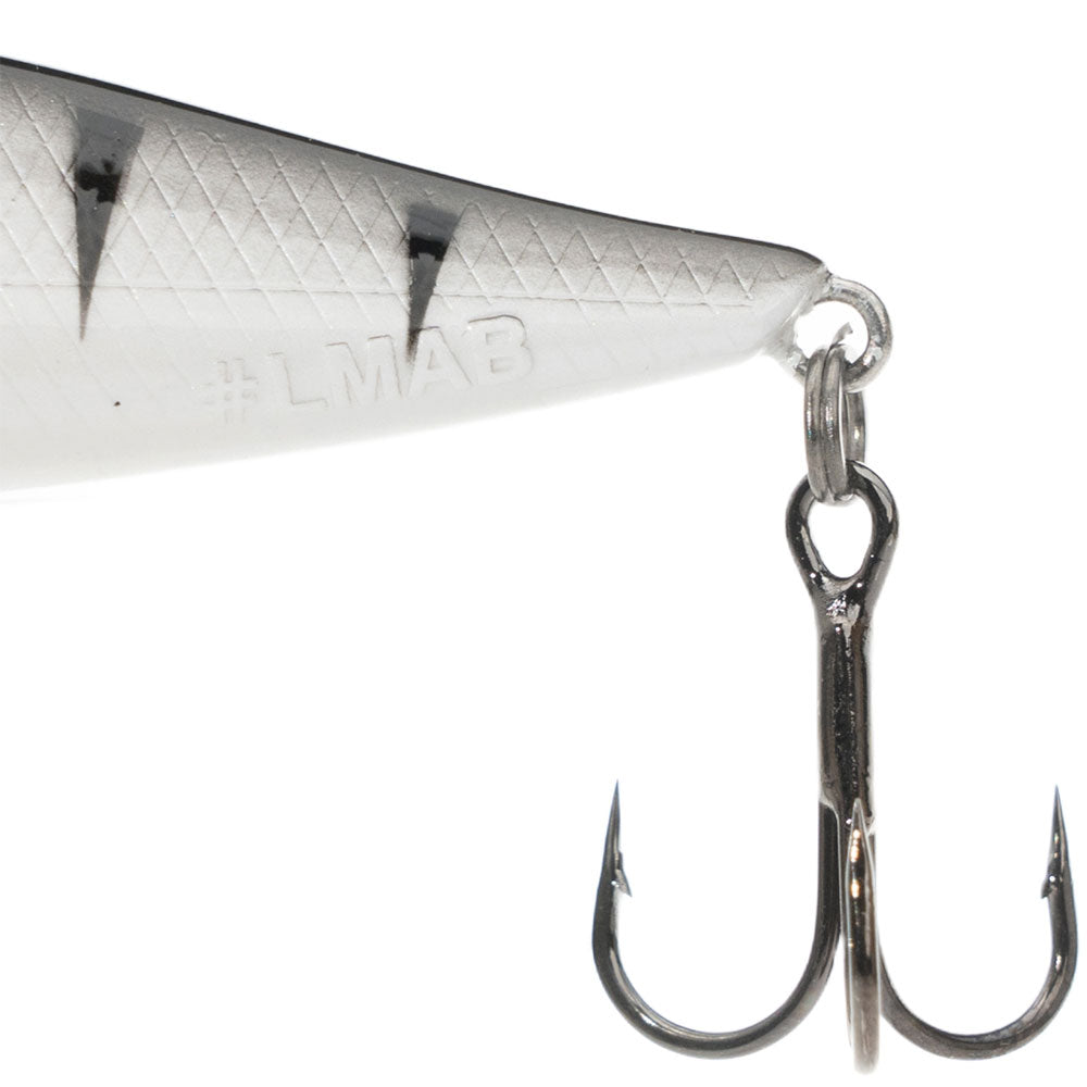 LMAB-KOFI-Dog-Vibe-85F-White-Tiger-03