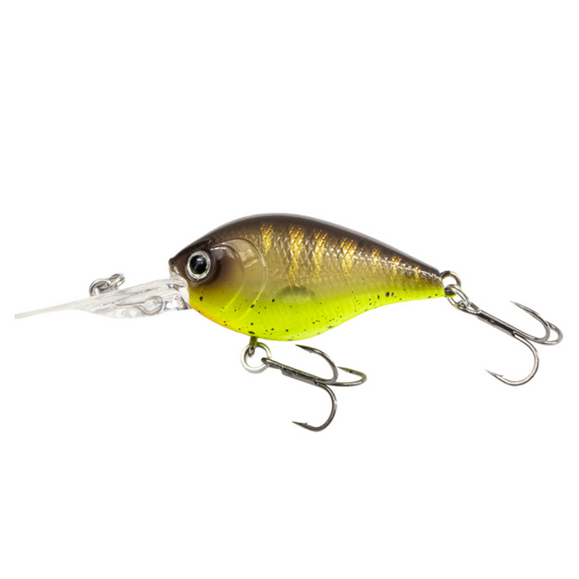 Noike Kaishin Crank 45 SR et DR