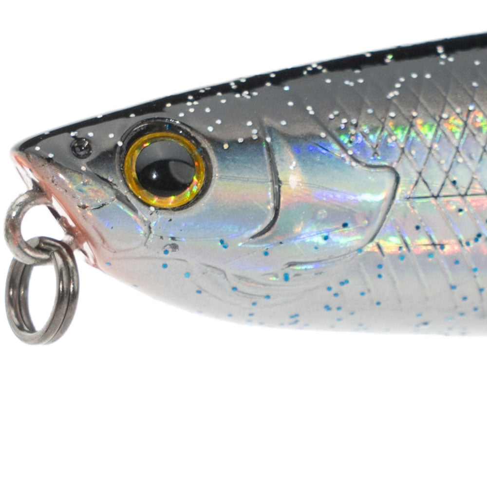 LMAB-KOFI-Dog-Vibe-85F-Galaxy-02