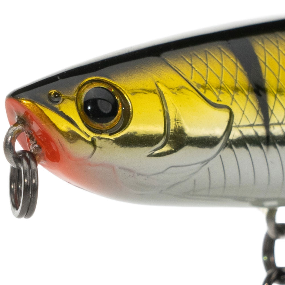 LMAB-KOFI-Dog-Vibe-85F-Real-Perch-02