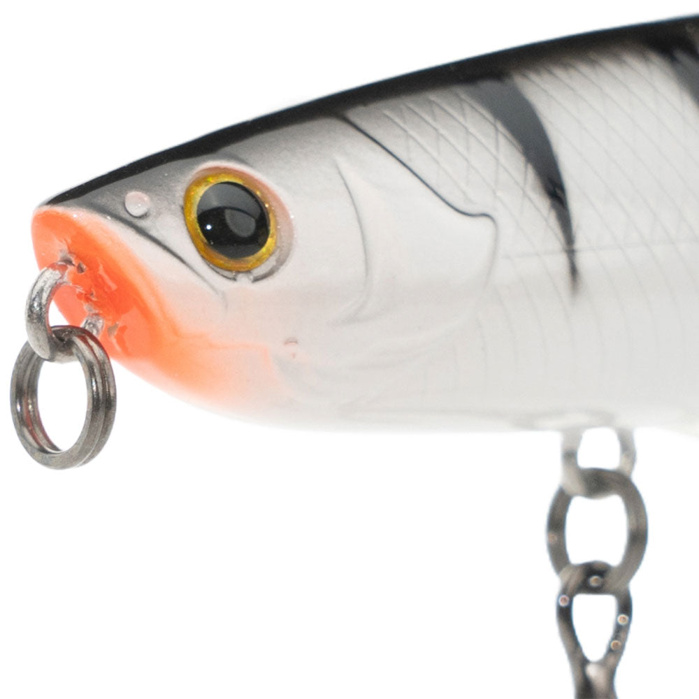 LMAB-KOFI-Dog-Vibe-85F-White-Tiger-02